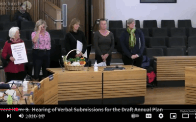 Christchurch City Council Long Term Plan Deputations – Canterbury Community Garden Association