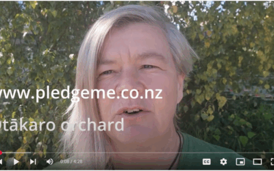 Ōtākaro Orchard – 2023 Pledge me Campaign – Virtual Tour