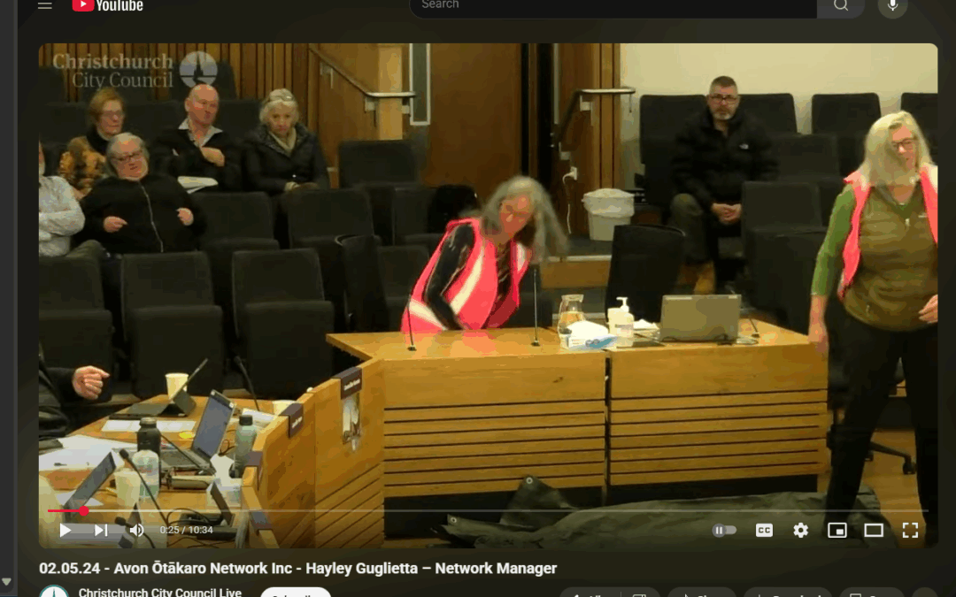 CCC 2024 Long term plan deputation – Avon Ōtākaro Network